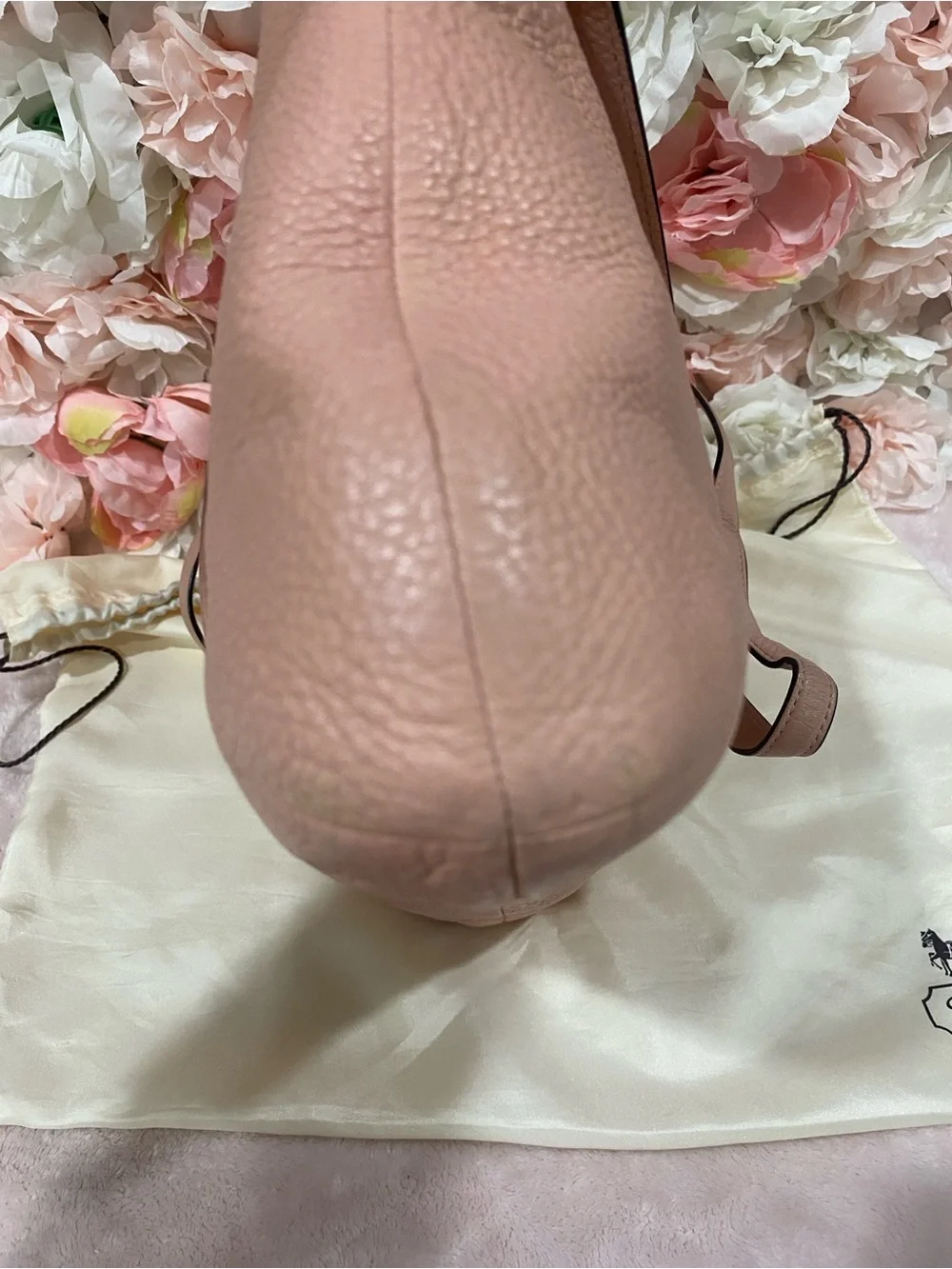 Coach East/West Isabelle Shoulder Bag